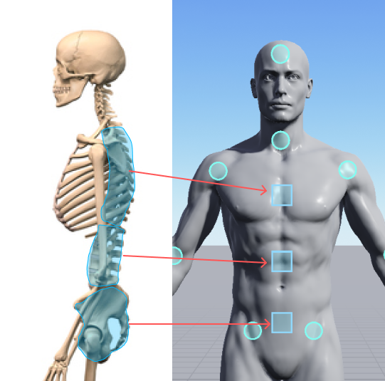 torso-control-points.png
