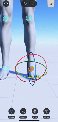 rotate_ankle.gif