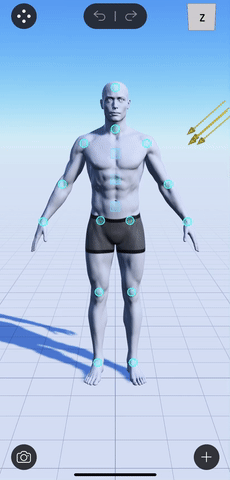 enter_foot_mode.gif