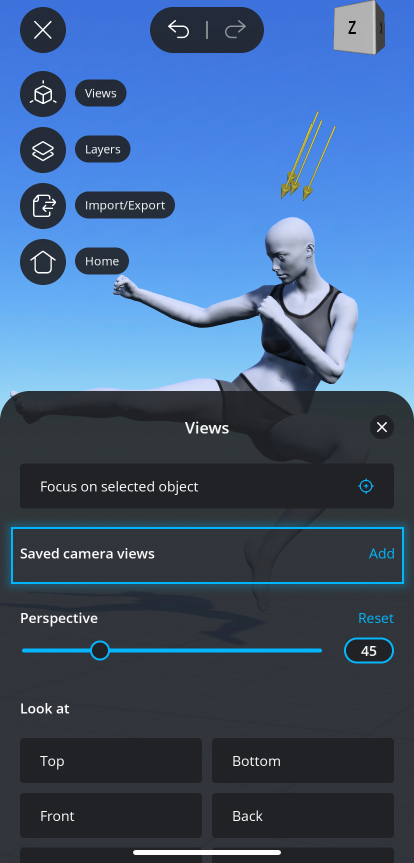 saved-camera-views.jpg