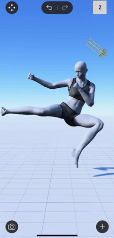 save-camera-view.gif