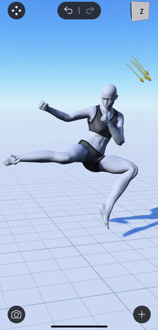 load-camera-view.gif
