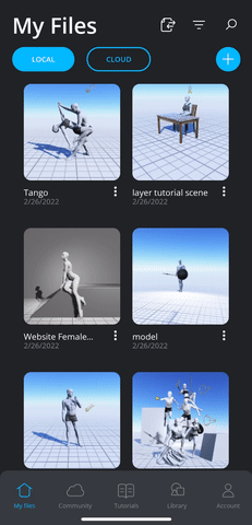 manage-local-files.gif